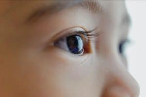 Focus on a child's brown eye and eyebrow