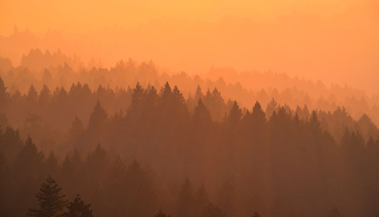 The sun setting over a smoky forest. The sun and smoke have cast an orange tint over the landscape.